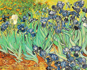 Iris - Van Gogh